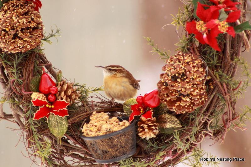 ROBINS NESTING PLACE Winter Bird Food Wreaths
